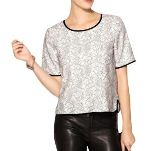 J.O.A. Ivory Lace Top with Dark Edging - Size L
